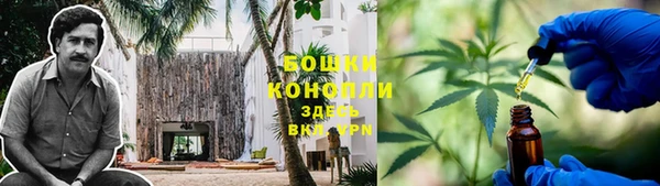 дживик Бронницы