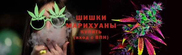 spice Бородино