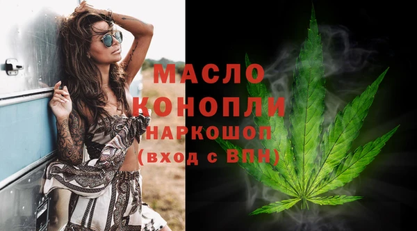 дмт Богданович