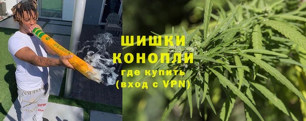 ПСИЛОЦИБИНОВЫЕ ГРИБЫ Семилуки
